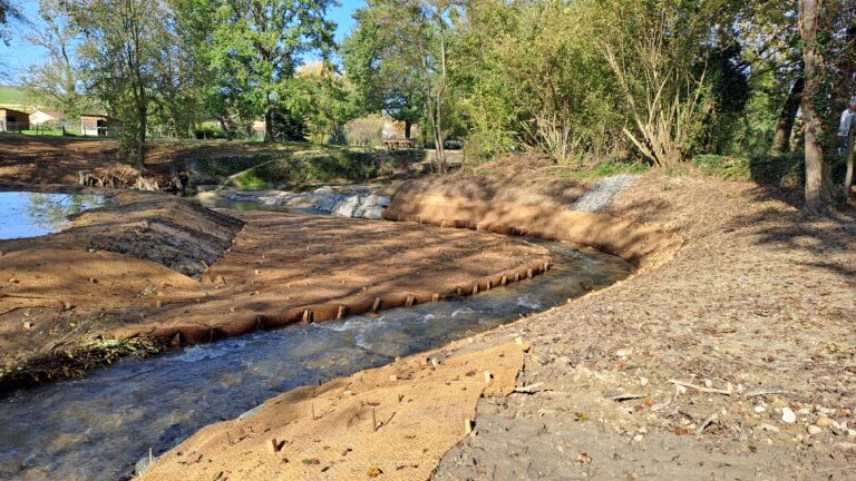 Chantier de la rivière - Restauration continuité confluence - Formans-Morbier