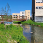 Travaux de requalification de l’allée de Challes à Bourg-en-Bresse