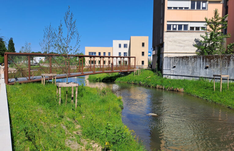 Travaux de requalification de l’allée de Challes à Bourg-en-Bresse