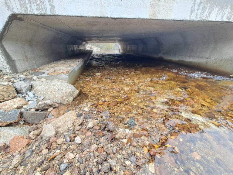 Pont rénové au-dessus de la rivière – Ouvrages d'Art LFA – Montbrison